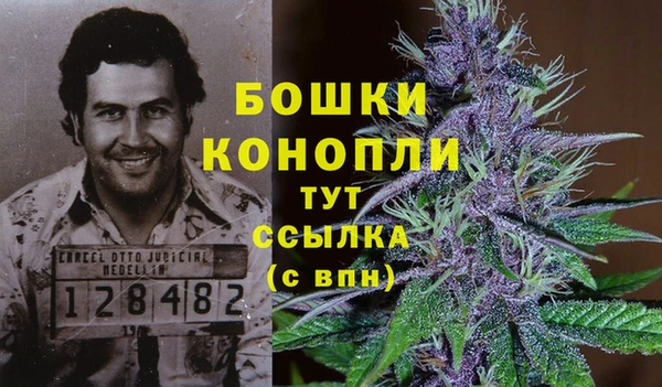мяу мяу кристалл Коряжма