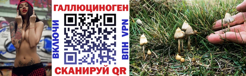 блэк спрут ONION  Галич  Галлюциногенные грибы MAGIC MUSHROOMS  цены  